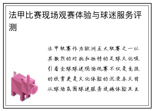 法甲比赛现场观赛体验与球迷服务评测